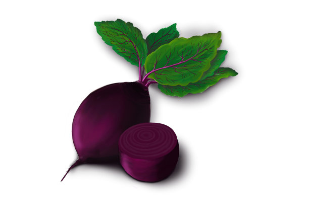 成熟的蔬菜。光栅插图。图片下载