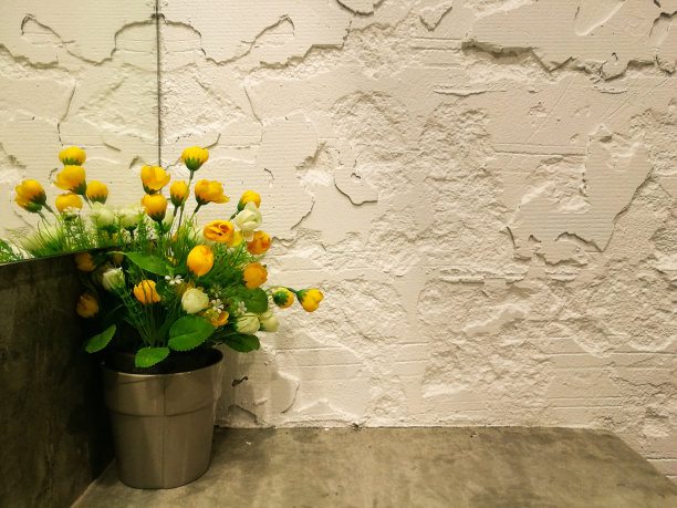 黄玫瑰图片下载