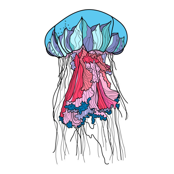手绘水母矢量插画素材图片