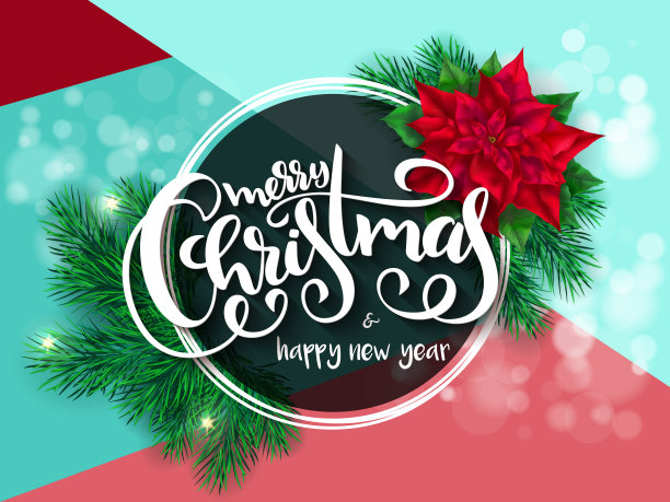 矢量插图的旗帜与手刻字标签-圣诞快乐销售-一品红花，冷杉树枝和闪亮的信号弹图片下载