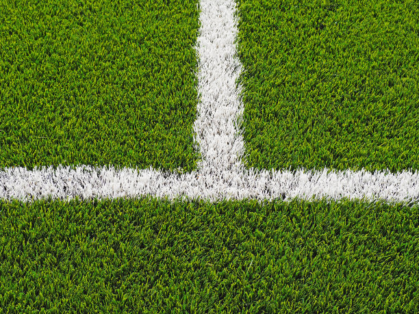 人造草皮图片下载