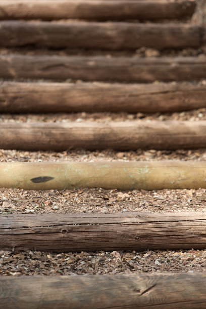 一个自然公园的木制楼梯图片下载