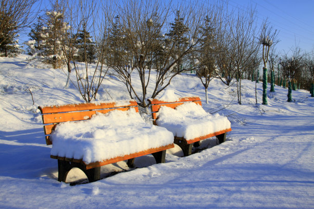 公园的椅子在雪中，特写照片图片下载