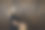 万圣节骷髅头化妆女孩在工作室穿黑色。图片下载