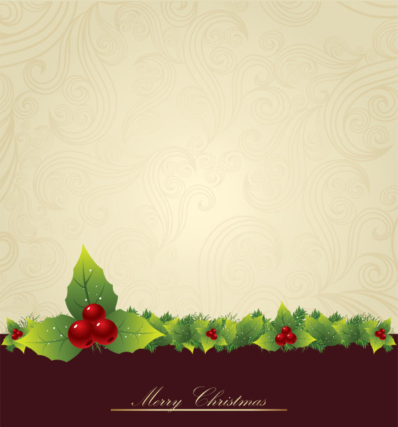 圣诞节的背景图片下载