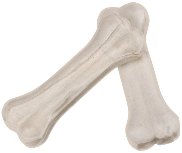 狗治疗。图片下载