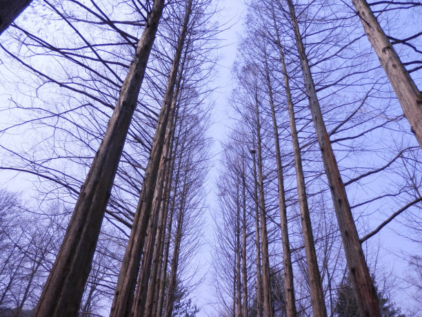 一个新的开始图片下载