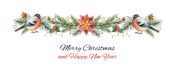 水彩向量圣诞旗帜与冷杉树枝，红腹灰雀和一品红花。图片下载