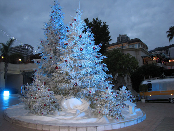 圣诞树装饰街道图片下载