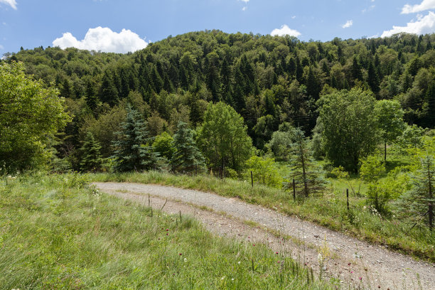 朴实的路径图片下载
