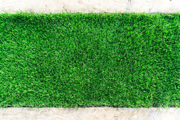 绿草的石材地板背景纹理。图片下载