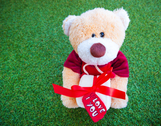 在绿色的草地上，棕色的玩具熊拿着一个礼盒。图片下载