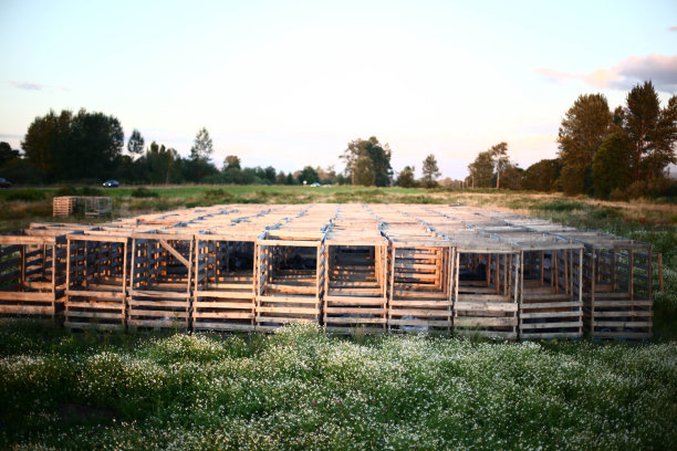 野外的木箱图片下载