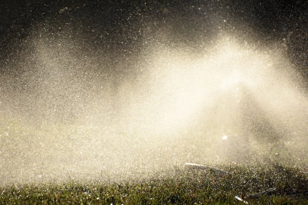 湿草坪与喷雾器在背景图片下载