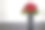 手捧花图片素材ID：300647064