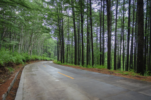 通往自然之路图片下载