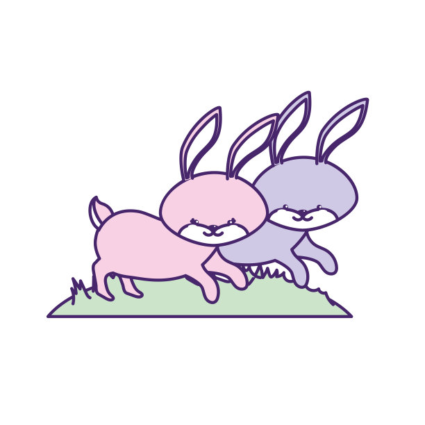 可爱的兔子动物情侣在一起图片下载