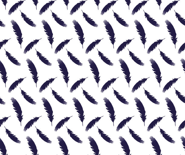 无缝鸟模式。白色背景上的羽毛。矢量图图片下载