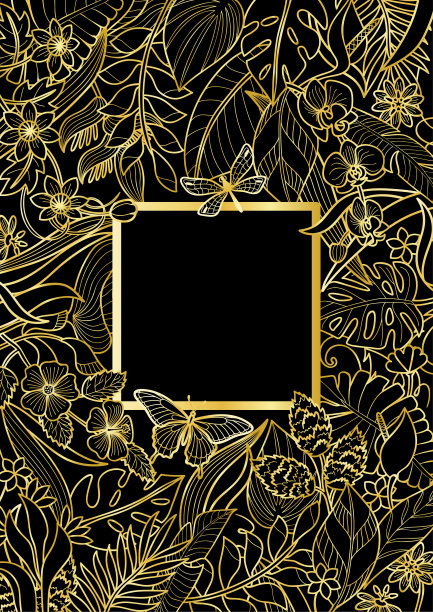 热带金方框图片下载