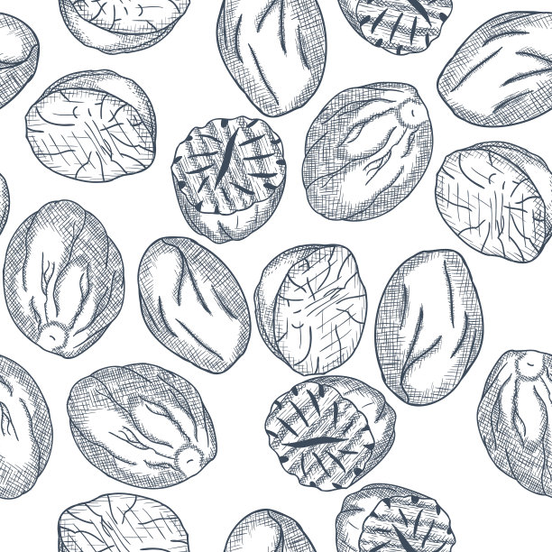 手绘肉豆蔻无缝图案雕刻素描。向量图片下载