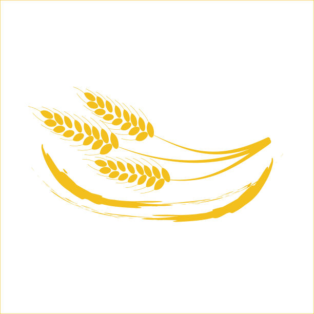 矢量图形模板与小麦。自然的产品。图片下载