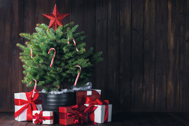 装饰圣诞树图片下载