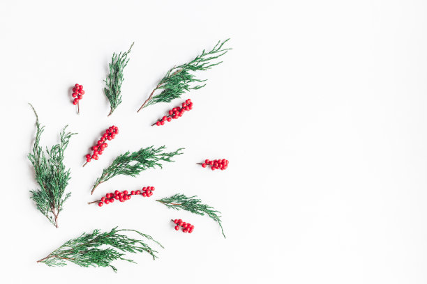 圣诞树的树枝和红色的浆果。平躺，俯视图图片下载