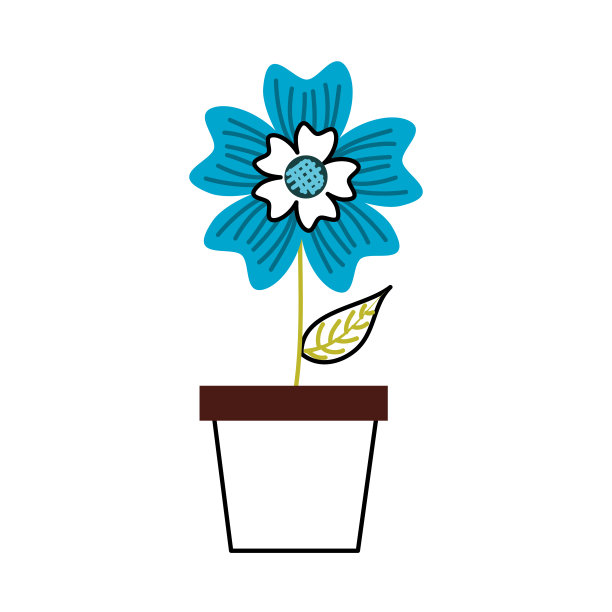 盆景长春花装饰自然植物图片下载