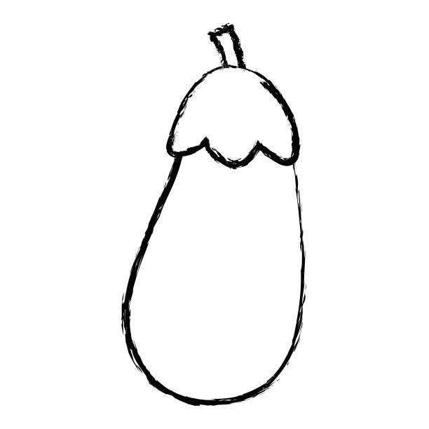 图茄子是有机蔬菜食品的味道图片下载