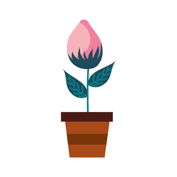 盆花天然芽生长植物装饰图片下载