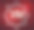 祝您2018年新年快乐，圣诞快乐图片下载