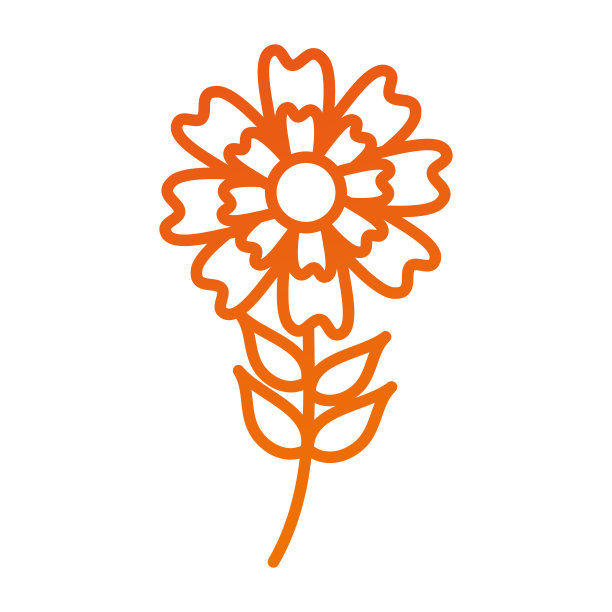 紫菀花天然花瓣叶茎图片下载