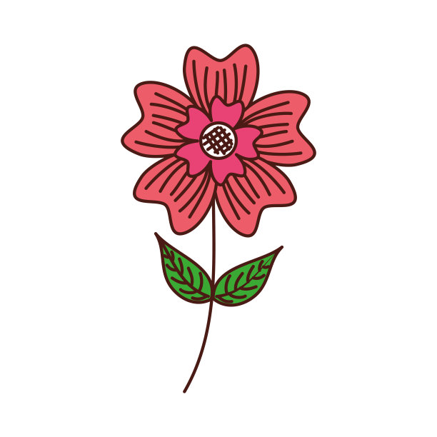 长春花花瓣叶茎自然植物图片下载