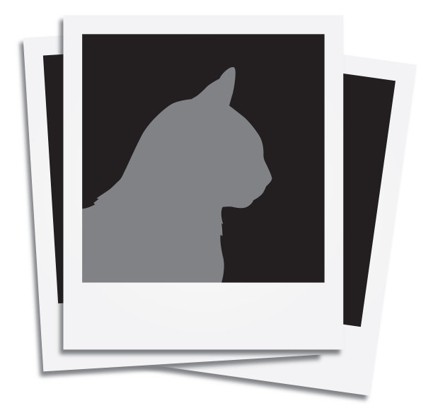 猫咪头像即时图片图片下载