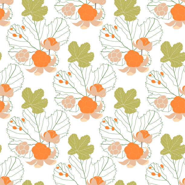 无缝模式与cloudberry图片下载