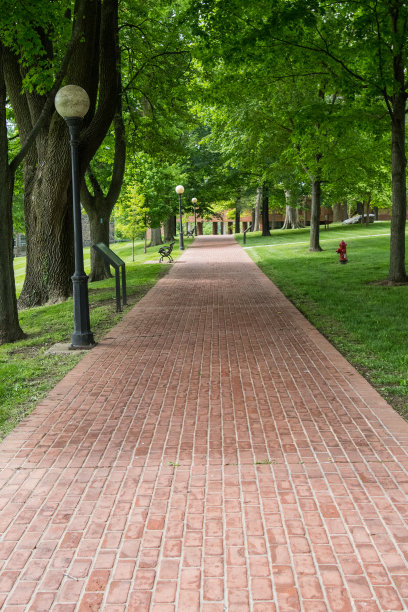 穿过公园的砖路图片下载