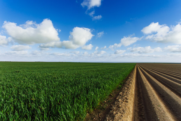 在法国诺曼底为种植农作物而犁过的农田。田园风光，春日农田。环境友好型农业和工厂化农业理念图片下载