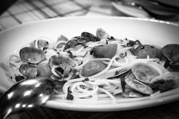 白蛤。图片下载