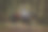 战争照片素材ID：300760794