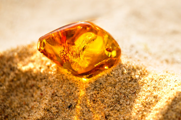 波罗的海海滩上的琥珀素材图片