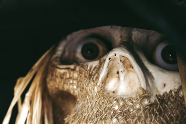 万圣节的骨架图片下载