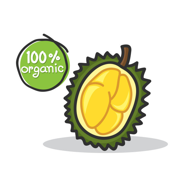 榴莲果图片下载