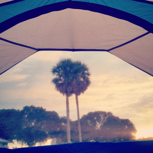 佛罗里达冬季的大沼泽地国家公园棕榈树露营观图片下载