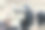 草原上的野黑牦牛图片下载