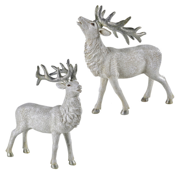 圣诞之星图片下载