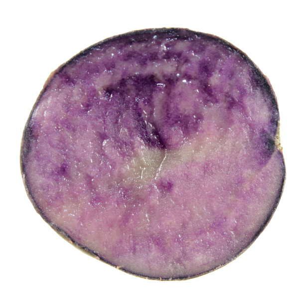 切片蓝土豆孤立在白色背景图片下载