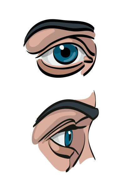人类的眼睛。矢量插图。前面和侧面。孤立在白色的。图片下载