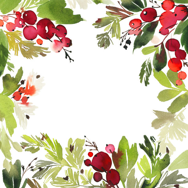 圣诞水彩画卡云杉和浆果素材图片