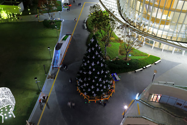 一张夜景照片，一棵点亮的圣诞树和街景图片下载