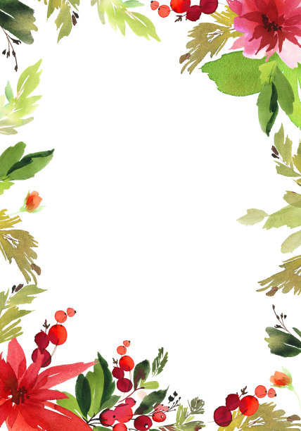 圣诞节水彩的名片。红色的花和浆果。素材图片